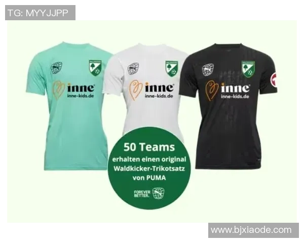 赛后分析：杭州足球队与南京足球队的团队协作表现及其影响因素探讨